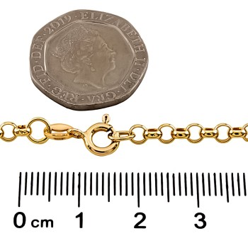 9ct Gold 12.2g 20 inch Belcher Chain